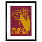 Cultural Equality Women Liberty Statue Poster Framed Wall Art Print 12X16 In