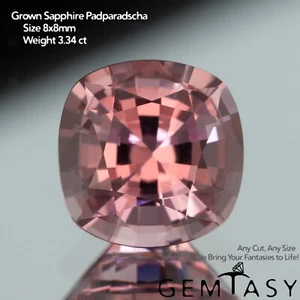 Cut stone - Sapphire Padparadscha Czochralski Pulled lab grown 8x8mm 2.62-3.34ct - Picture 1 of 4
