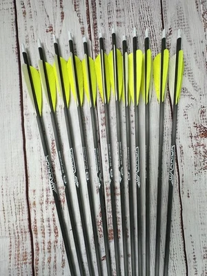 Dozen (12) Gold Tip Warrior 600 spine fletched carbon arrows 4" FEATHERS - Image 1 of 4