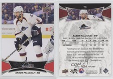 2016-17 Upper Deck AHL Red Aaron Palushaj #70