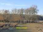 Photo 6x4 Lower Pen Pond Plantation in January (1) Richmond The taller tr c2017