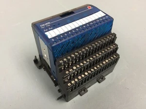 Automation Direct T1K-16TR, Output module - Picture 1 of 2