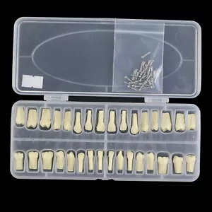 Kit dental de repuesto tipo AG3 32 PIEZAS modelo tipo tipo tipodonte atornillado - Imagen 1 de 11