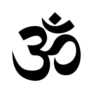 Aum Om Yoga Healing Mantra Symbol Decal Sticker for Mind Body Soul Car Truck - Picture 1 of 5