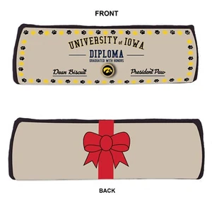 IOWA HAWKEYES DIPLOMA PERRO JUGUETE TELA PREMIUM con Chirridos - Imagen 1 de 1