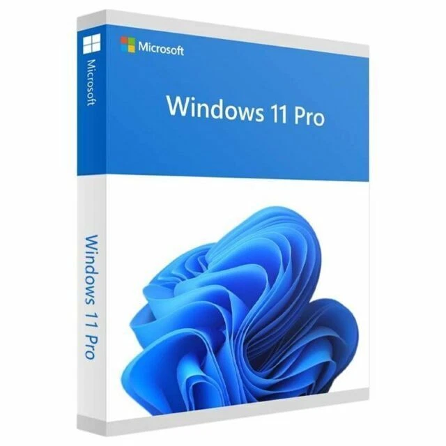 Microsoft Windows 11 Pro Retail 64-bit USB Flash Drive (HAV-00163)