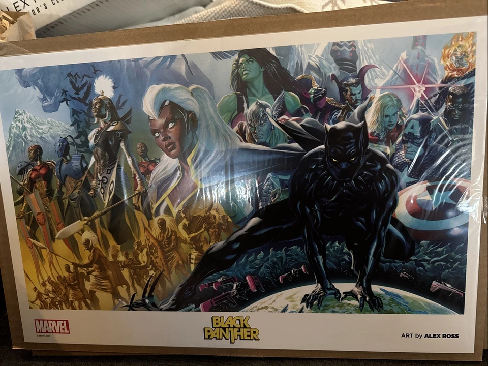 *Rare* 17X11 Black Panther Art Print By Alex Ross - image 1 of 1