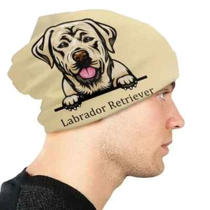 Golden Labrador Reversible Gorro Skully Sombrero Calavera Perro Regalo Beige Invierno Hombre - Imagen 1 de 5