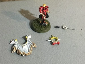 A31864 WARHAMMER 40K HERMANAS DE BATALLA SORORITAS METAL CELESTINO PERSONALIZADO GW - Imagen 1 de 14