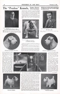 SEALYHAM TERRIER OUR DOGS 1930 PREELESS KENNEL DOG BREED ADVERT PAGE b217 - Picture 1 of 1