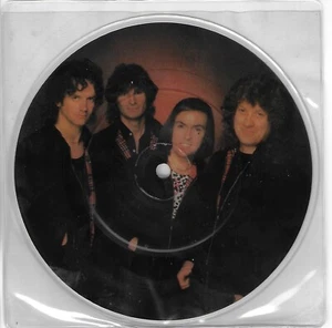 SLADE OKEY COKEY / GET DOWN AND GET WITH/ LMTED ED. IMPORT 7" VINYL PICTURE DISC - Picture 1 of 2