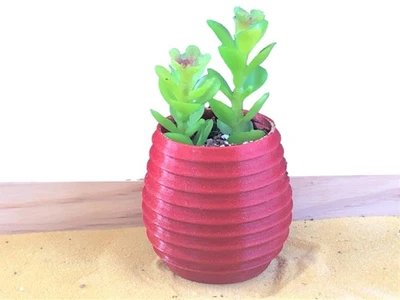 Maceta redonda horizontal - Maceta suculenta única Foto 1 de 2