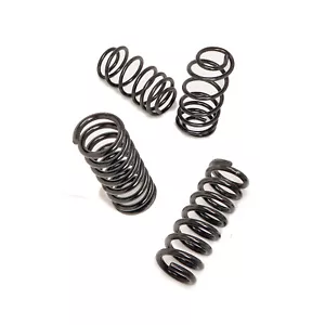 Hotchkis 19119 Sport Coil Springs Set for 1965-1966 Ford Galaxie - Picture 1 of 1