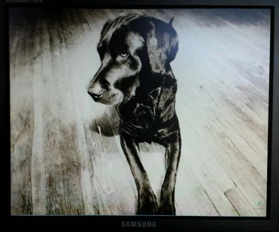 Samsung SyncMaster 710TM 17'' LCD Flat Panel Monitor w/ Speakers +VGA DVI Cables - Image 1 of 4