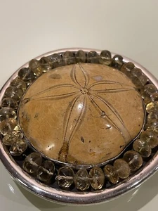 PAT AREIAS 185g Heavy Sand Dollar Fossil BELT BUCKLE 925 Sterling Silver RARE - Picture 1 of 15