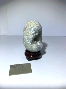 Celestite Open Egg Geode 6 cm /  169g - Picture 1 of 4
