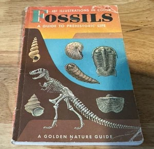 VINTAGE FOSSILS A GUIDE TO PREHISTORIC LIFE A GOLDEN NATURE GUIDE 1962 - Imagen 1 de 6