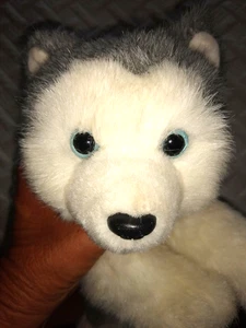 Ty Husky Plüsch EUC grau und weiß hellblaue Augen 11 Zoll lang und 7 Zoll groß - Bild 1 von 9