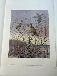 Owen Gromme Ruffed Grouse - Budding Signed 172/500 - The Gromme Master Print - Foto 1 di 15