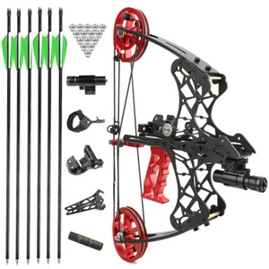 18" Mini Compound Bow 35-38lbs Dual-use Steel Ball Arrows Set Archery Hunting - Picture 1 of 14
