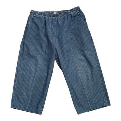 Allison Daley Womens Size 14 Blue Pinstriped Pull On Cropped Denim Pants Stretch - Image 1 of 4