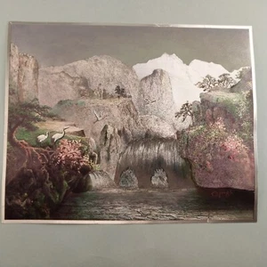 Jong K Foil Picture White Birds Flowers Waterfall Cliffs 10x8 Not Framed Vintage - Picture 1 of 13