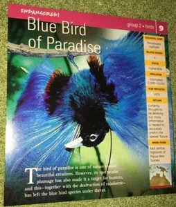 Endangered Species Animal Card - Birds - Blue Bird Of Paradise - Picture 1 of 2
