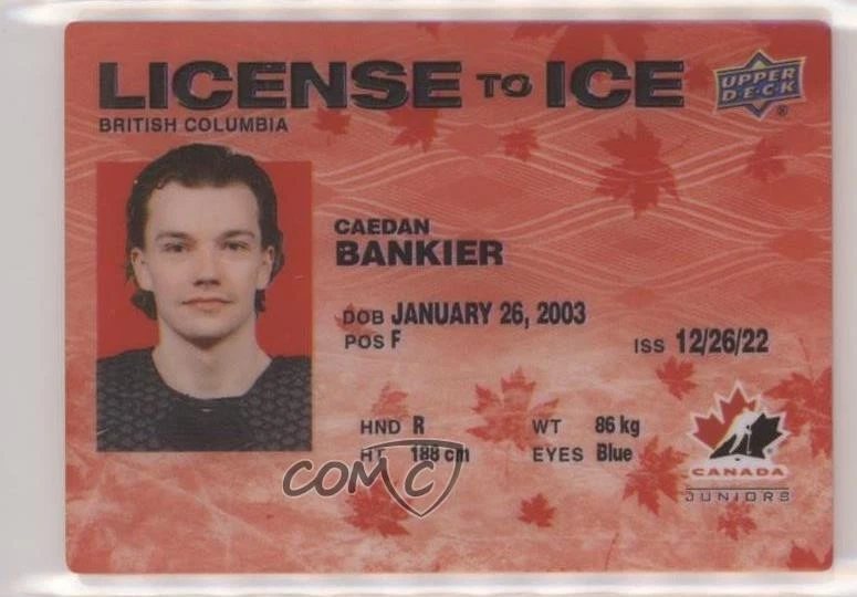 2023 Upper Deck Team Canada Juniors License to Ice Red /23 Caedan Bankier #LI-42 - Image 1 of 2