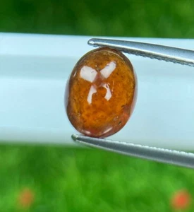 3.42 Cts | natural loose" Garnet | Red | Oval Shape | Cabochon - Srilanka - Picture 1 of 4