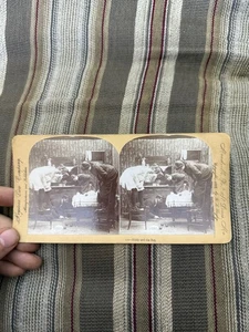 Vintage KEYSTONE Stereoview BIDDY & THE RAT Auf der Suche nach Ungeziefer - Bild 1 von 4