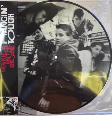 New Kids on the Block Hangin Tough LP Album Vinyl  Picture Disc Vinyl Record - Image 1 of 4