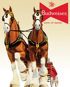 Budweiser Clydesdale Team White/Red/Brown Vintage Wall Décor Tin Sign 1631 - Picture 1 of 1