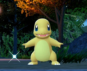 Pokemon Legends ZA Starters - Shiny Charmander 6IVS - MODEST + MASTER BALL🌟 - Picture 1 of 2