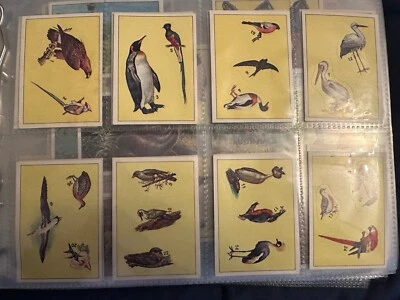 PANINI BIRDS : RARE COLLECTION OF LOOSE STICKERS 1-300 COMPLETE ALL IN VGC 1979 - Image 1 of 4