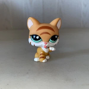 Littlest Pet Shop LPS Licking Tiger Cat Kitten #2332 With Green Circle Eyes  - Bild 1 von 6