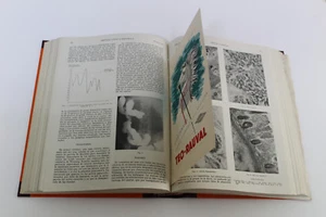 Antigua Revista Clinica Española  C. Jimenez Diaz Tomo LXXII 1959 Enero a Marzo - Imagen 1 de 8