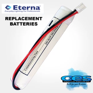 ETERNA EB REPLACEMENT BATTERY FOR EMERGENCY LIGHTS STICK SIDE-BY-SIDE Ni-Cd  - Picture 1 of 12