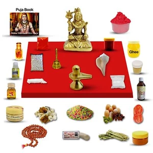 Lord Shiva Puja Kit / Shivji Poojan Samagri For Pooja Hindu Religion Festival - Picture 1 of 1