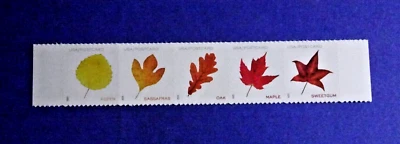 US 5966-5970 VIBRANT LEAVES ND POSTCARD (F) RATE PANE STRIP OF 5 EXCESS BACKING* - Image 1 of 2