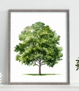 Tree Wall Art Print, Botanical Art Print Wall Art Decor, Nature - Picture 1 of 2