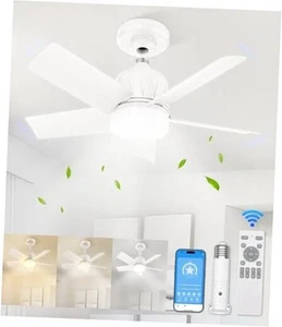Socket Fan Light with Remote, Socket Ceiling Fan with Dimmable Led Light - Picture 1 of 7