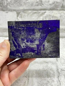 Vintage Cow Letterpress Printer Block Print Copper Stamp Photo Press Stamp - Picture 1 of 7