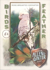Cacatúa de pecho rosa - Pájaros de una pluma 2021 Topps Allen & Ginter #BOF-7 - Imagen 1 de 2