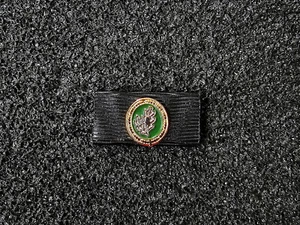 (S1-205) Bandspange Bundeswehr EGB Fallschirmjäger Erweiterte Grundbefähigung - Picture 1 of 1