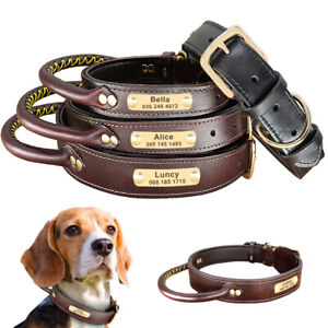 Soft Leather Personalised Dog Collar with Handle Engraved Name Pitbull Labrador 