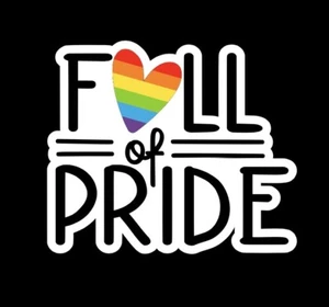 Happy Pride Month Sticker Decal Phone Laptop Bottle Car Stickers Gay Queer LGBTQ - Picture 1 of 1