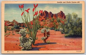 Ocotillo & Cholla Cactus Red Blooms New Mexico Texas Linen Postcard - Picture 1 of 2
