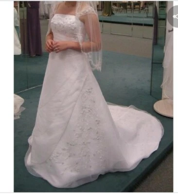 Vestido de novia David V9302 sin mangas con cuentas plateado floral 4' tren cintura reunida Foto 1 de 4