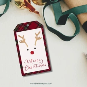 Rudolph Merry Christmas Holiday Gift Tags 2 X 3.5 Fun Festive Traditional Plaid - Picture 1 of 2