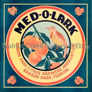 Florida Crate Label Fine Art Print, Lark, approx 10.8" x 10.8" 13208 - Picture 1 of 1
